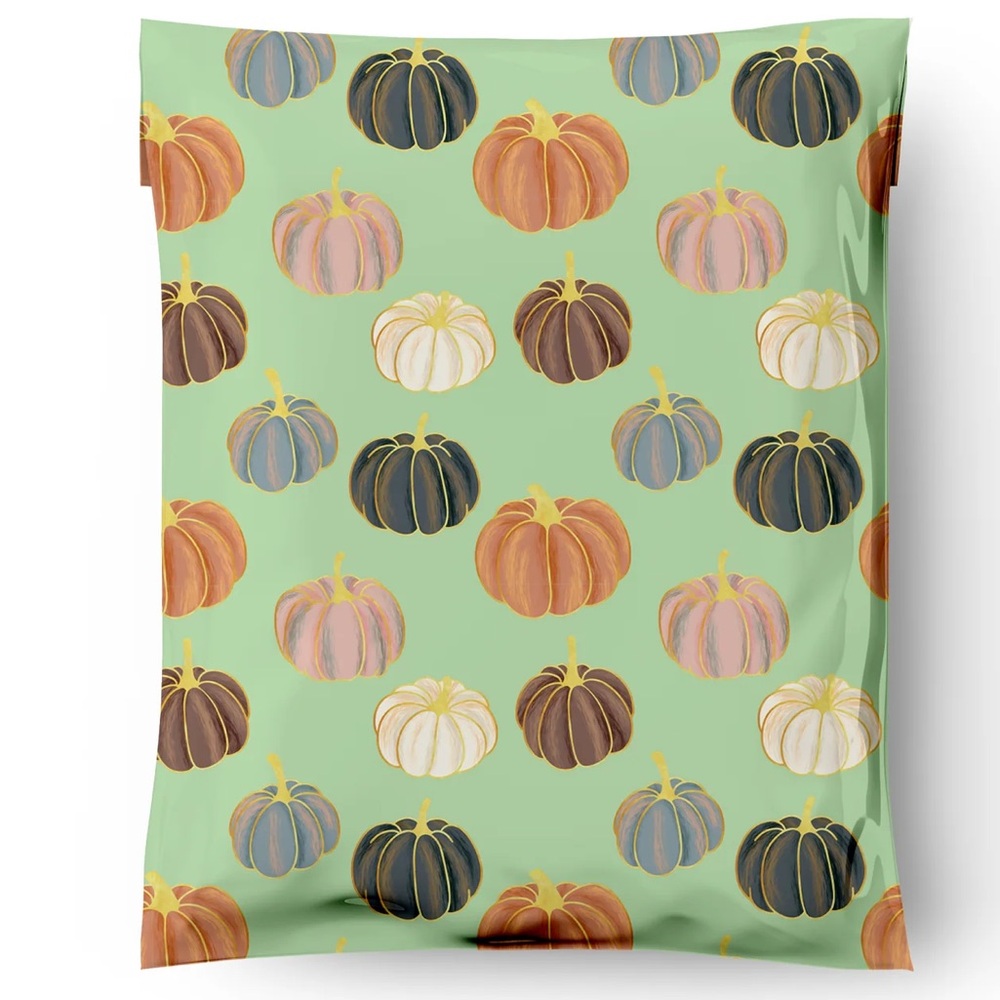 Pumpkin Patch 🎃 10x13 Poly Mailers Pack of 25